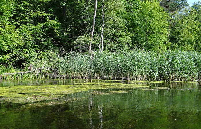 Siucice – Sulejów