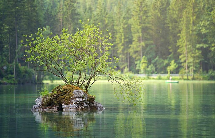 Spływ kajakowy Pilicą trasa Biała - Sulejów