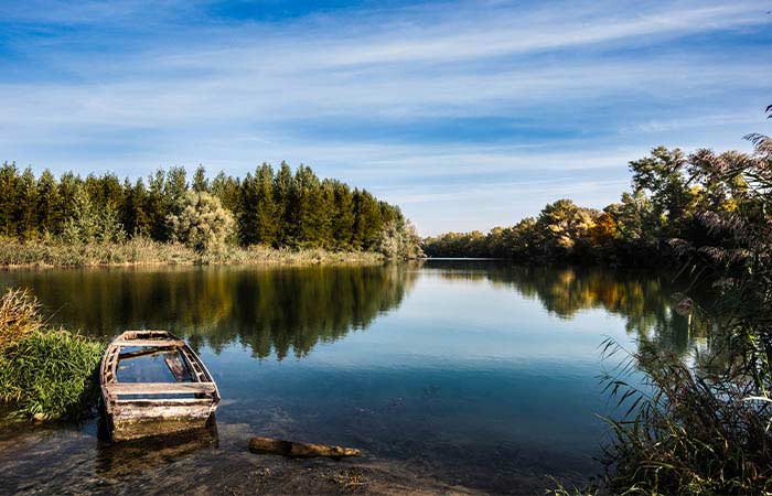 Spływy kajakowe Pilicą trasa Kurnędz Sulejów