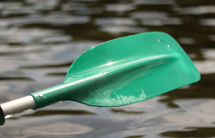 Spływ kajakowy Pilicą trasa Łęg Ręczyński-Trzy Morgi