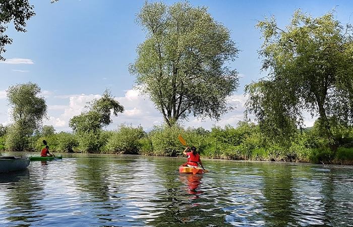Spływy kajakowe – Pilica