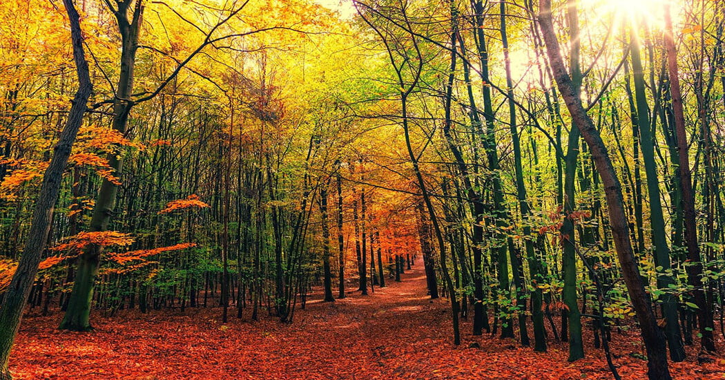 Sulejowski Park Krajobrazowy