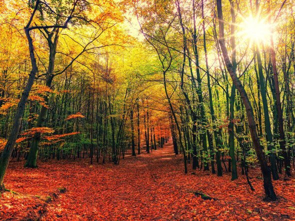 Sulejowski Park Krajobrazowy Splywy Kajakowe